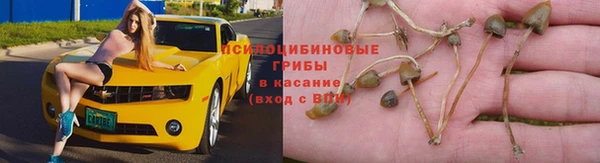 MDMA Горняк