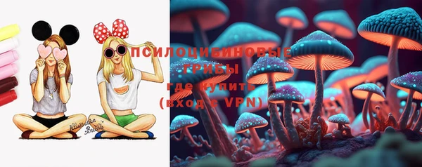 марки lsd Горнозаводск