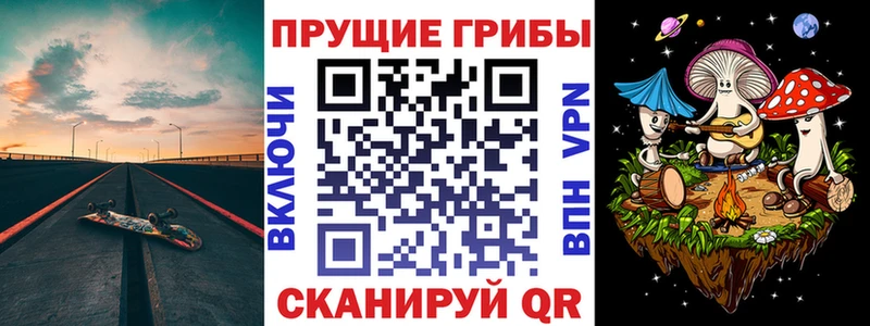 Галлюциногенные грибы Cubensis купить МЕГА ССЫЛКА Касимов