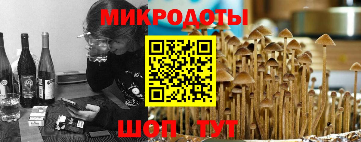 Касимов  Галлюциногенные грибы Psilocybine cubensis  Вход с VPN 